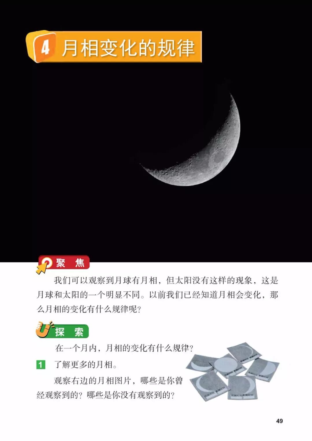 2025教科版科学三年级新教材