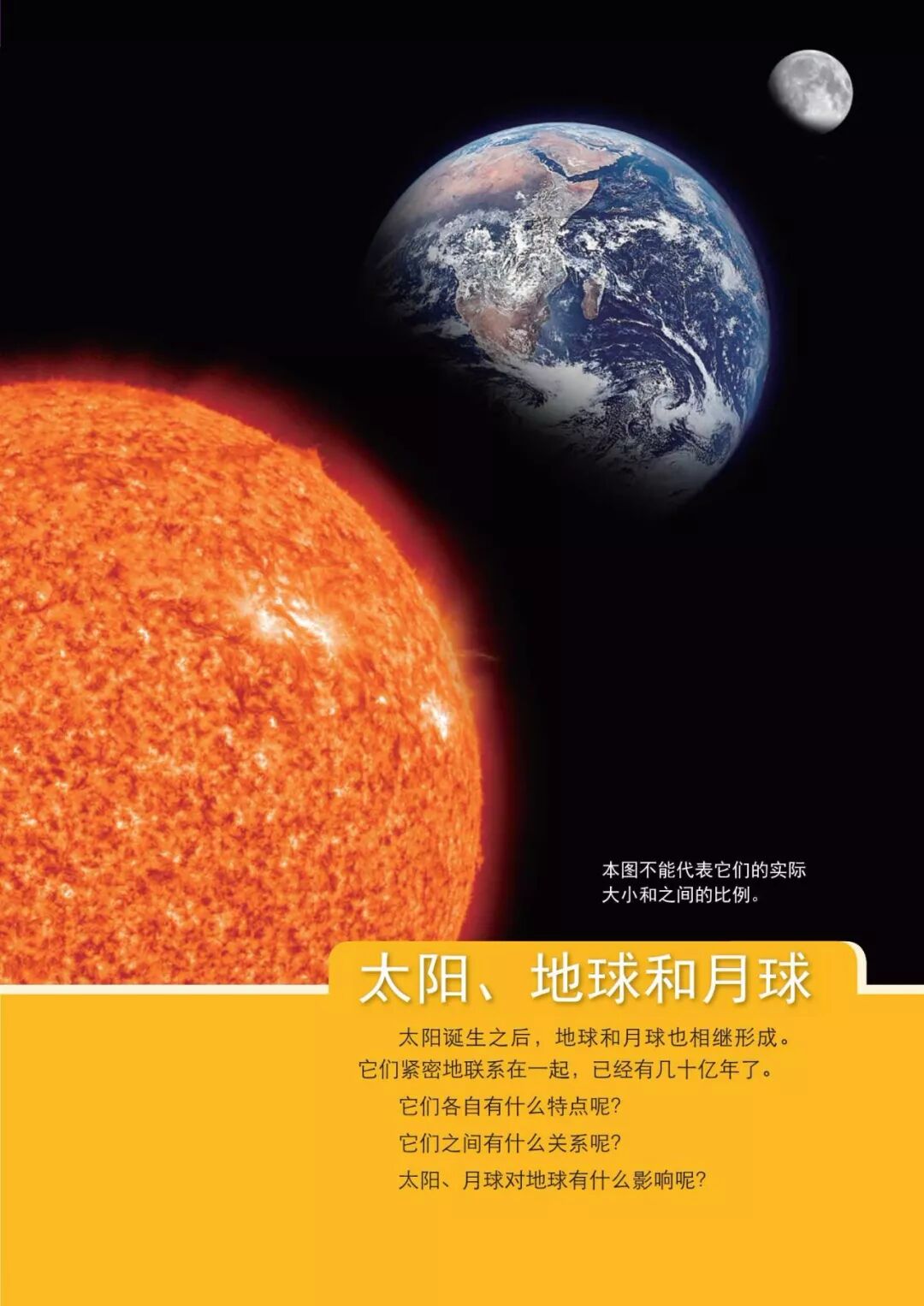 2025教科版科学三年级新教材