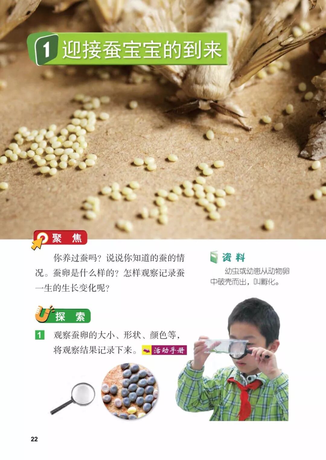 2025教科版科学三年级新教材
