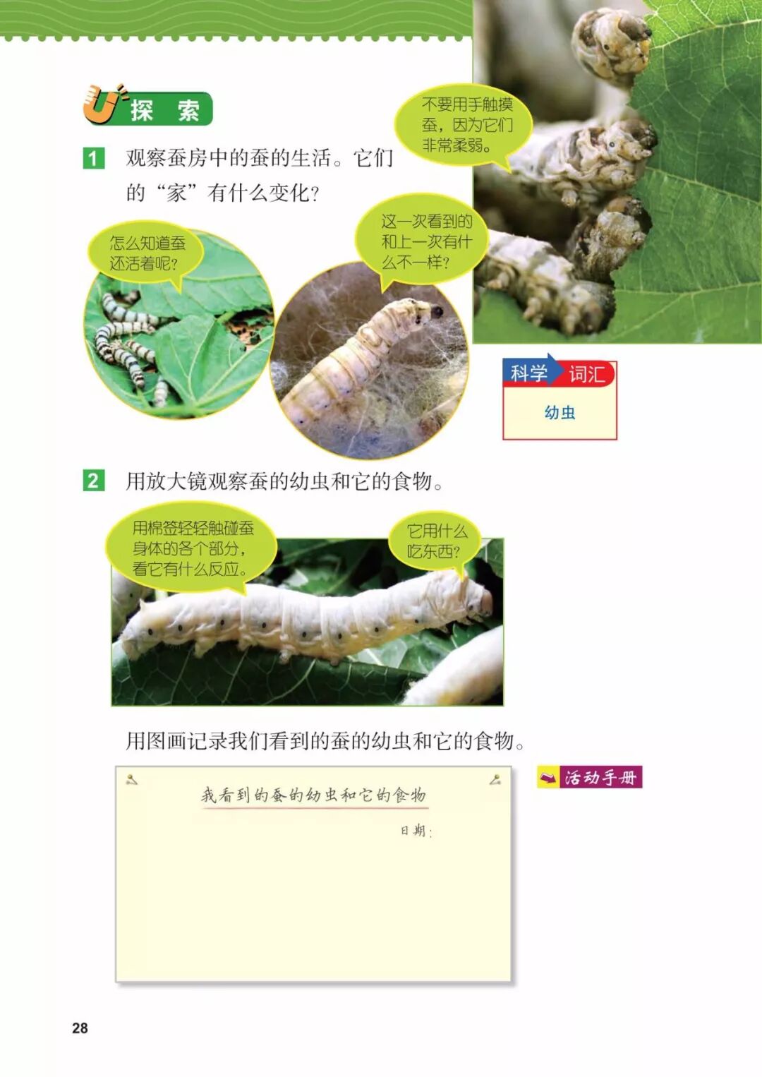 2025教科版科学三年级新教材