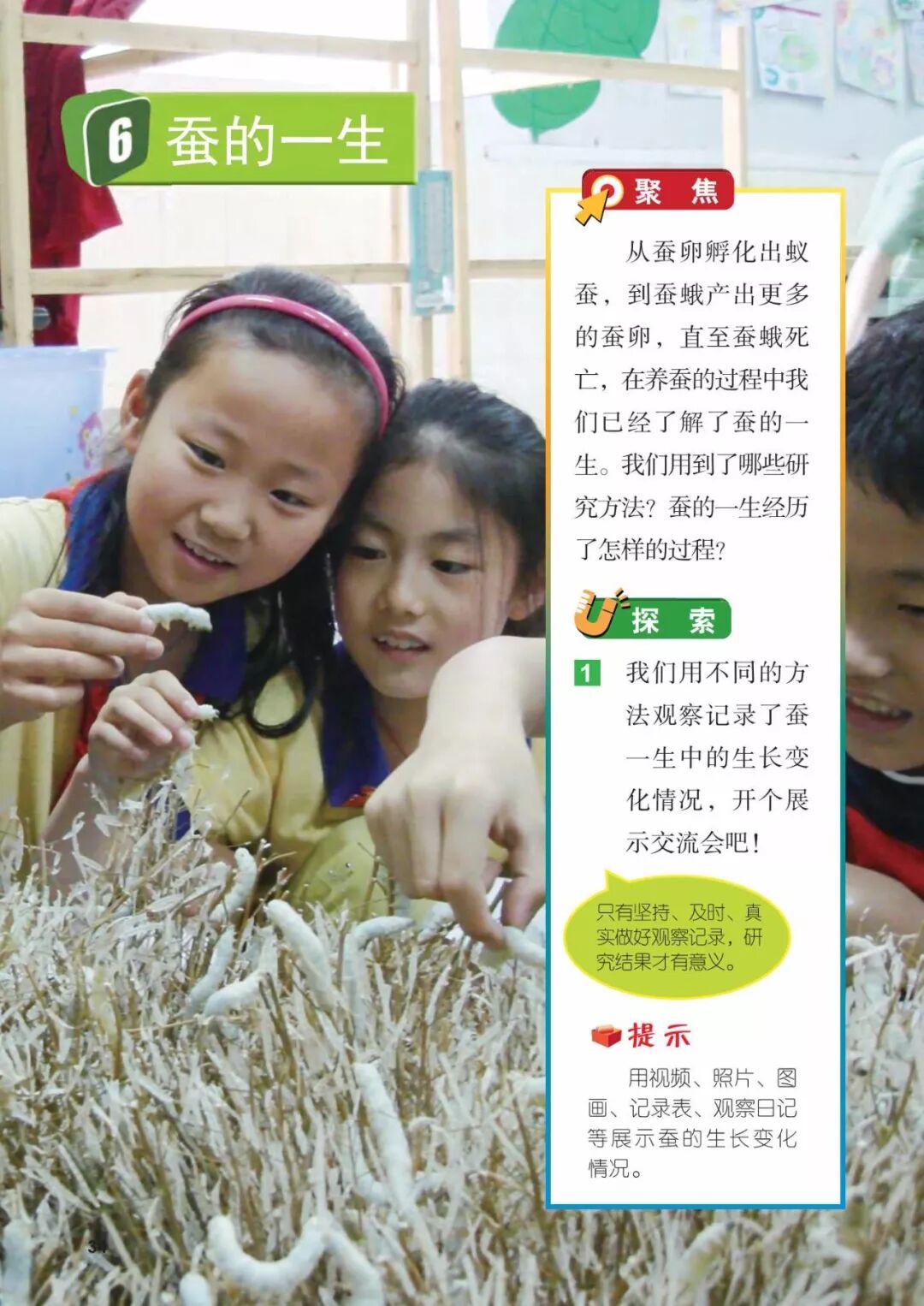 2025教科版科学三年级新教材