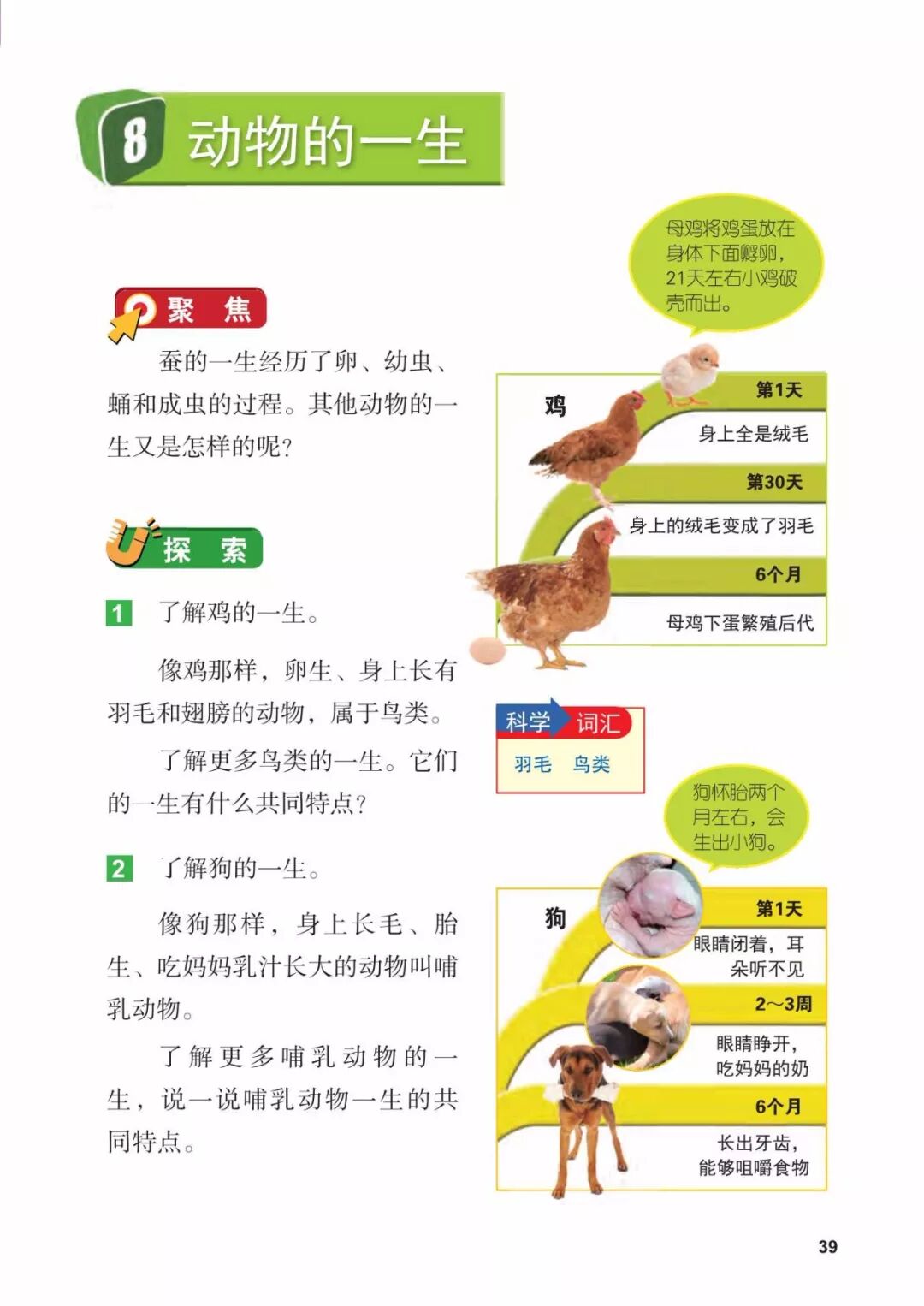 2025教科版科学三年级新教材
