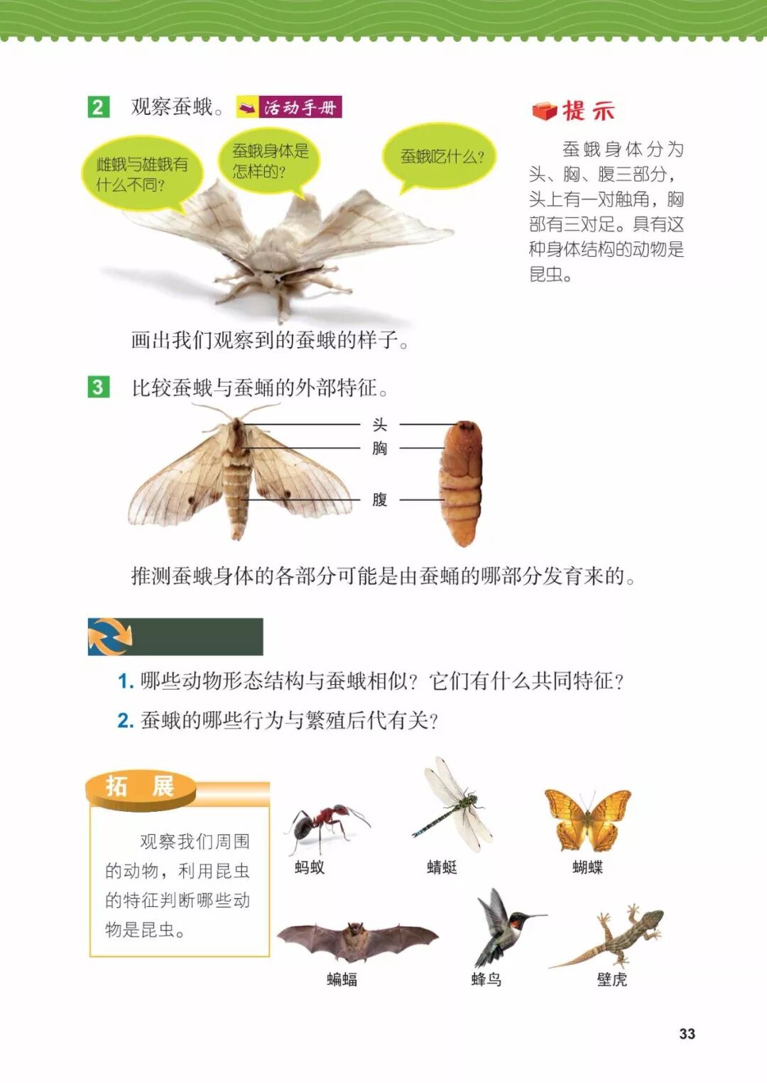 2025教科版科学三年级新教材