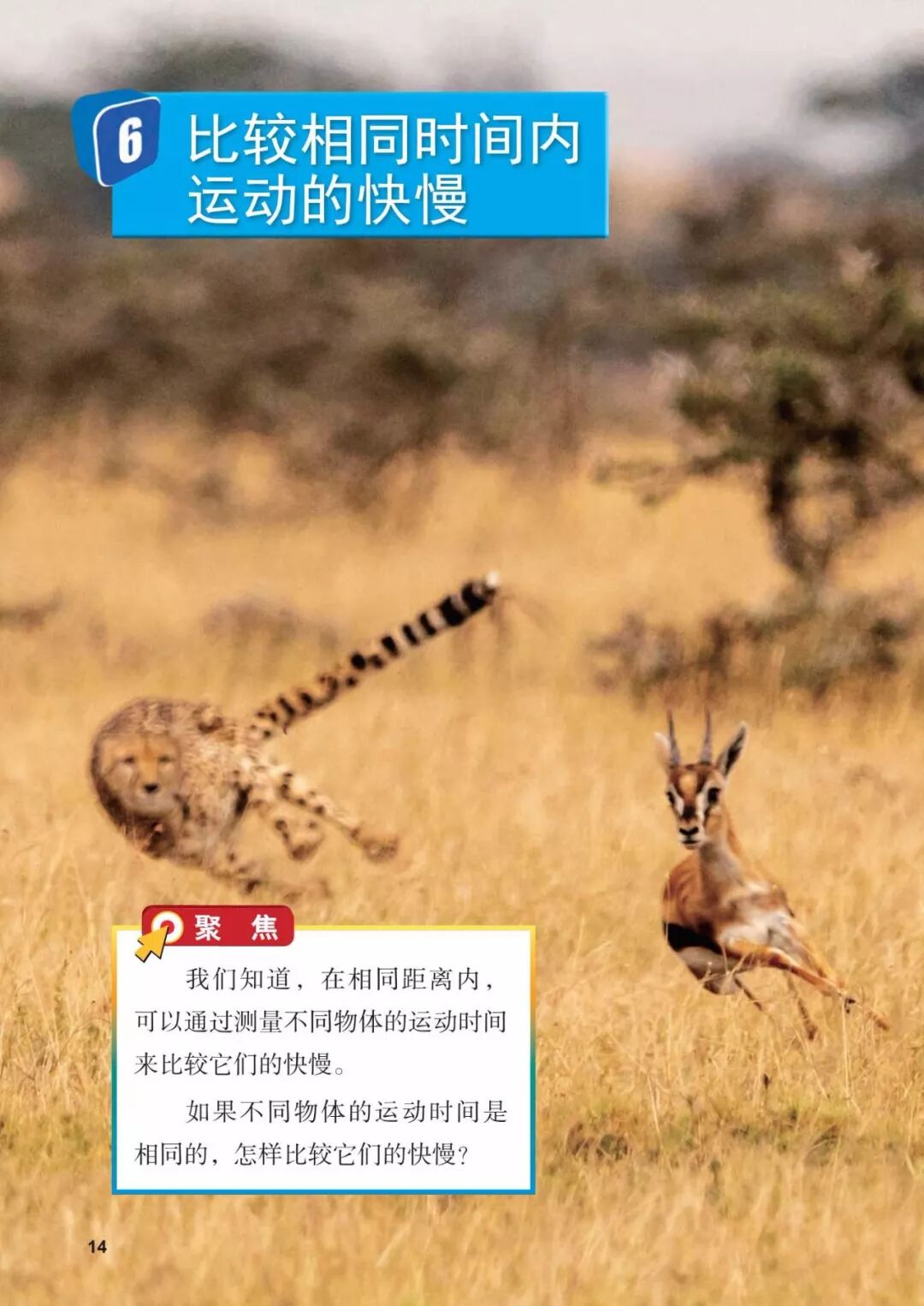 2025教科版科学三年级新教材