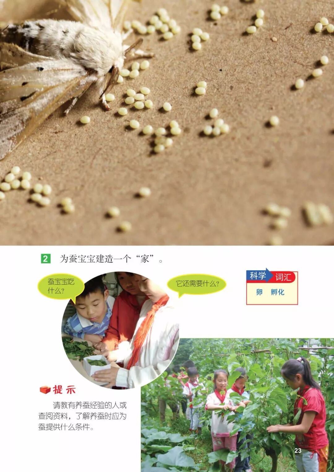 2025教科版科学三年级新教材