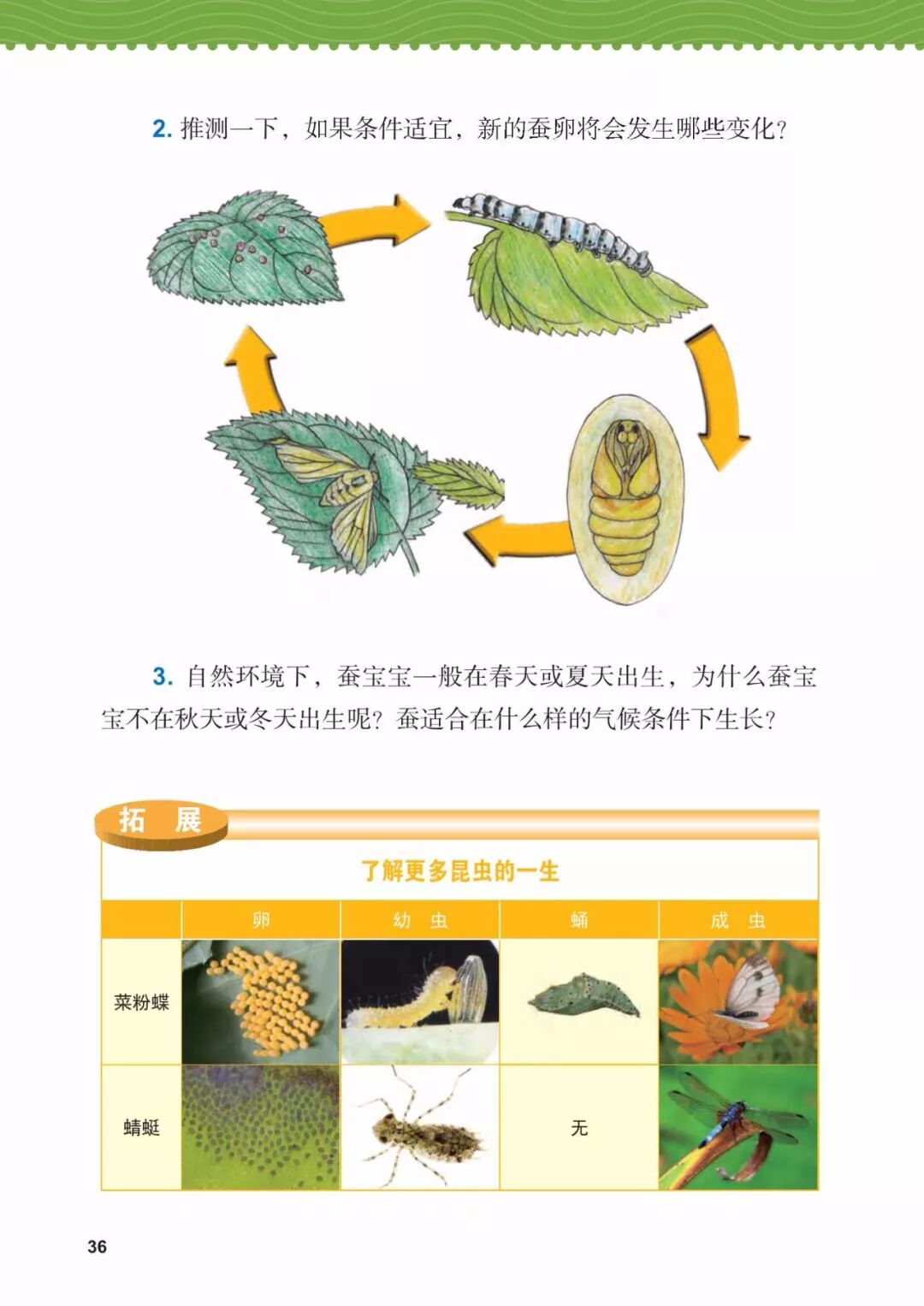 2025教科版科学三年级新教材