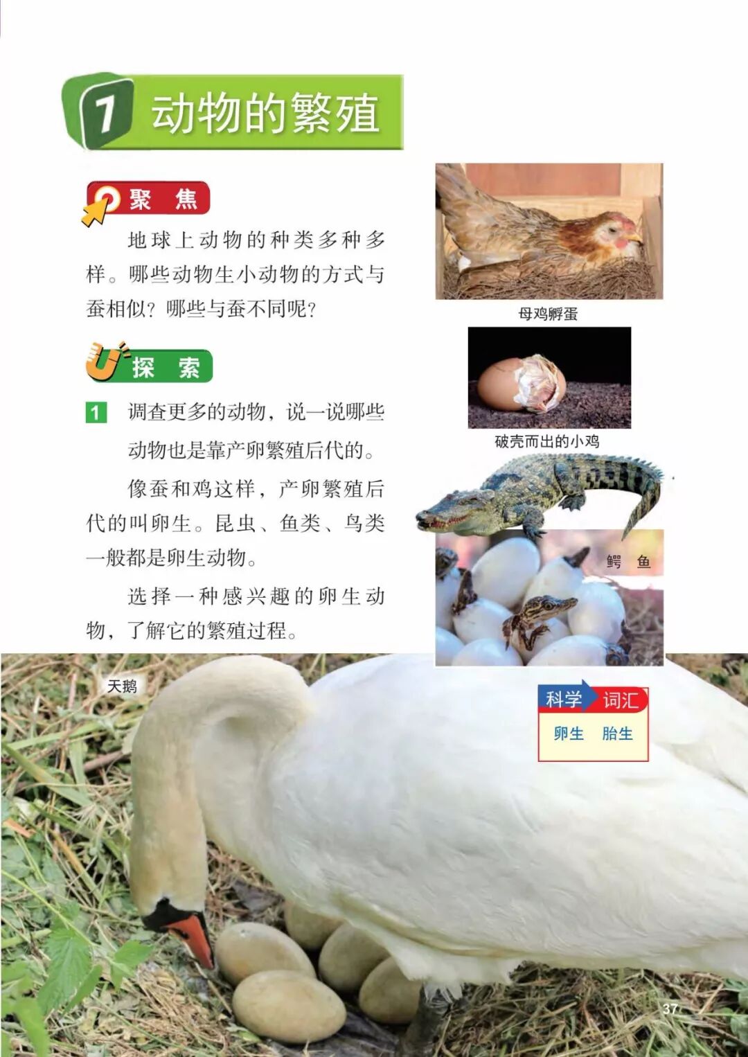 2025教科版科学三年级新教材