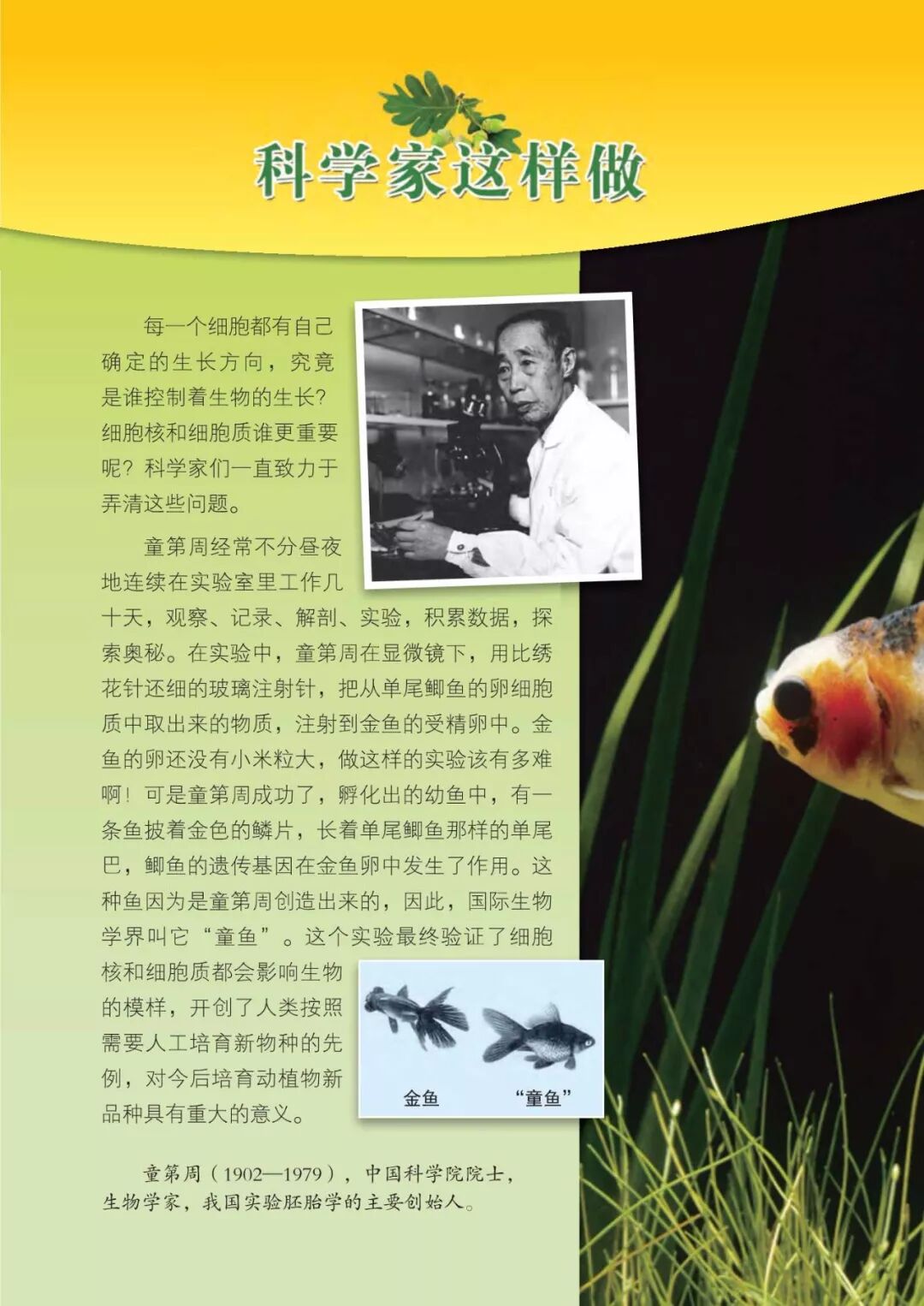 2025教科版科学三年级新教材