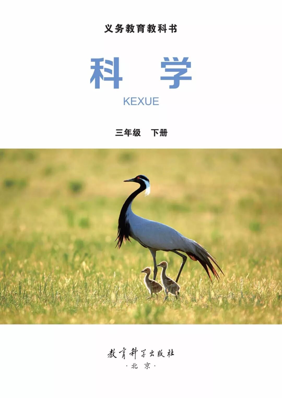 2025教科版科学三年级新教材