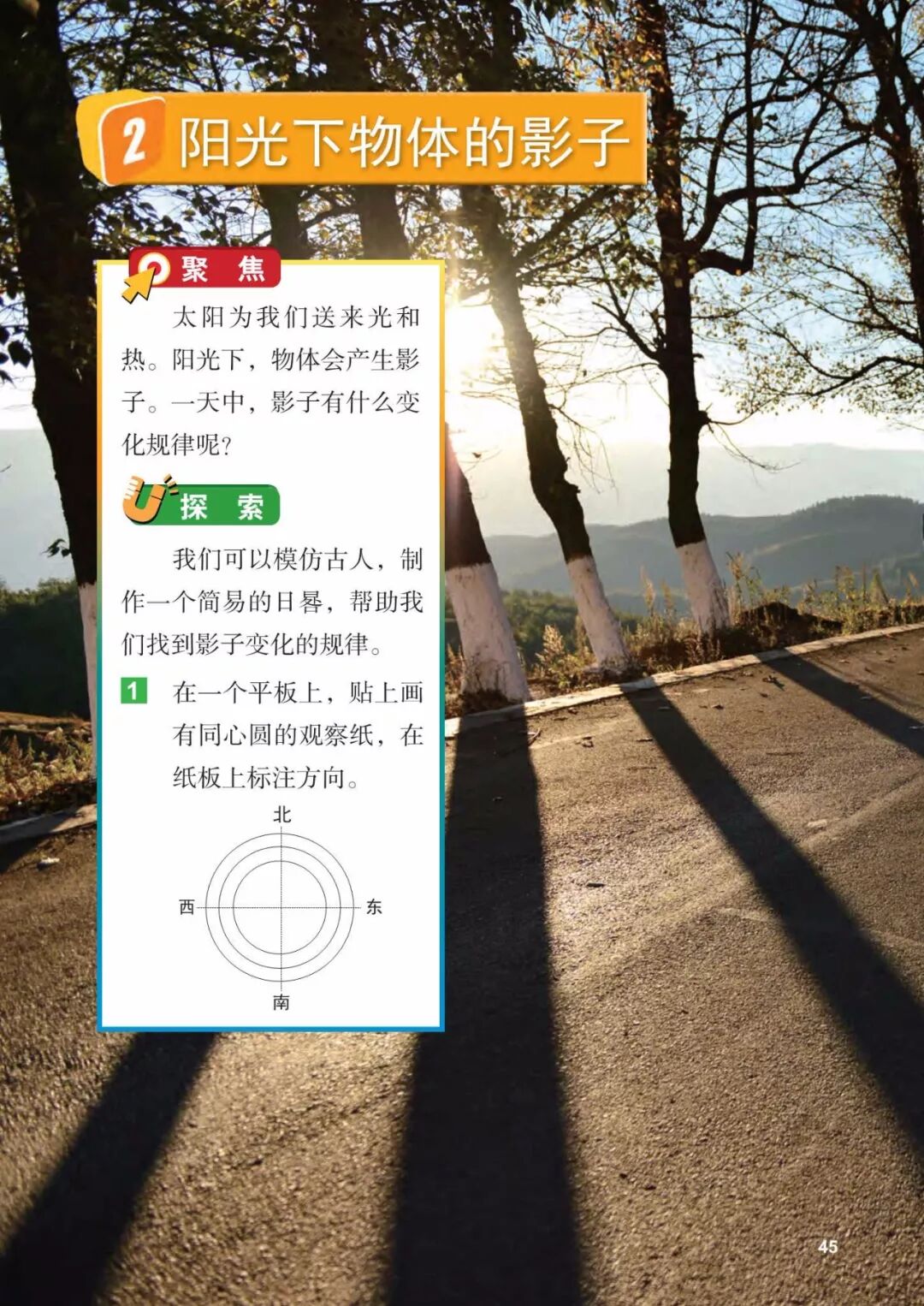2025教科版科学三年级新教材