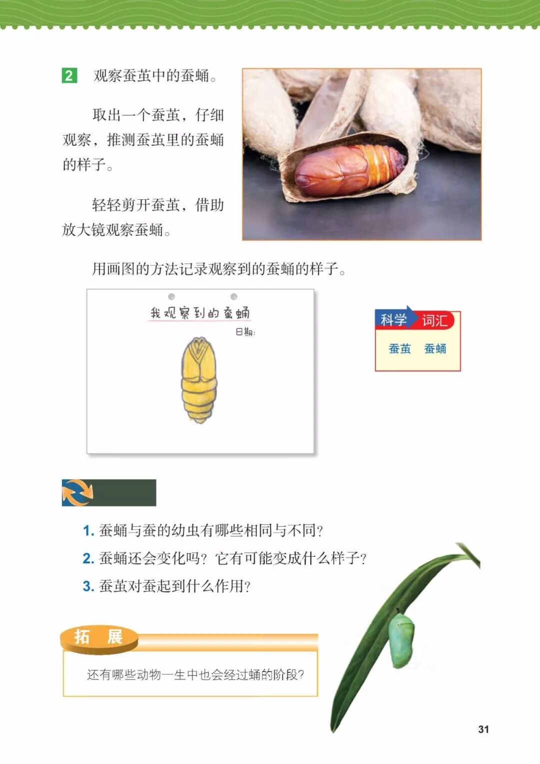 2025教科版科学三年级新教材