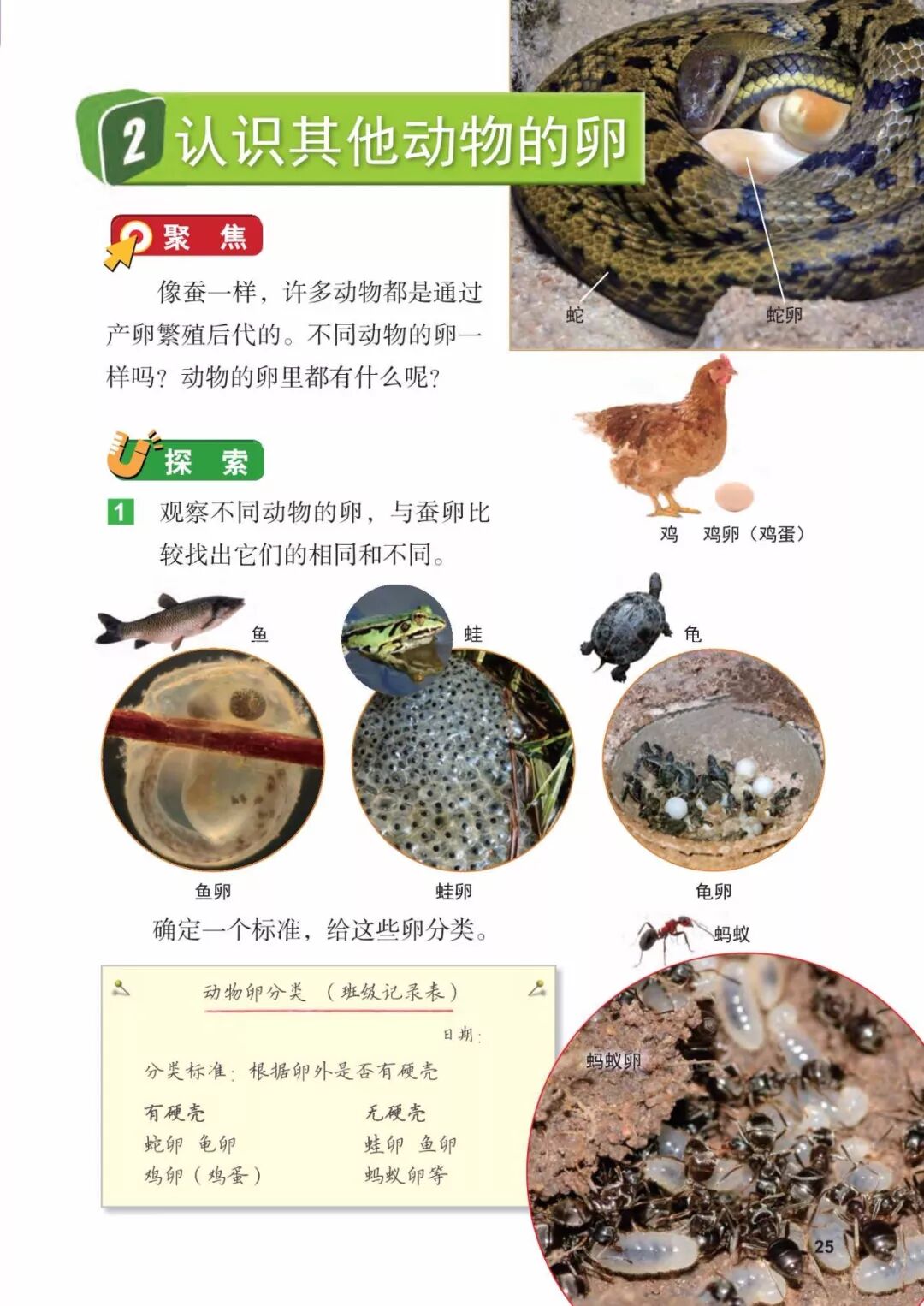 2025教科版科学三年级新教材