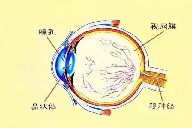 孩子練羽毛球，家長同樣也能學到許多！ 親子 第5張