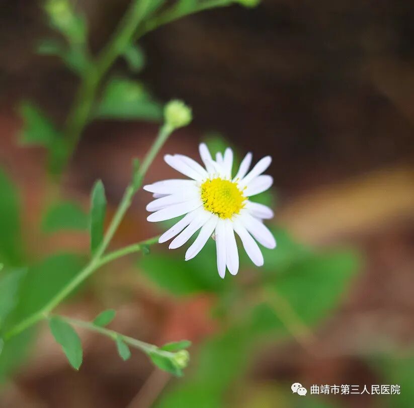 排痰机器怎么排如何利用机械辅助排痰_https://www.jmylbn.com_新闻资讯_第7张