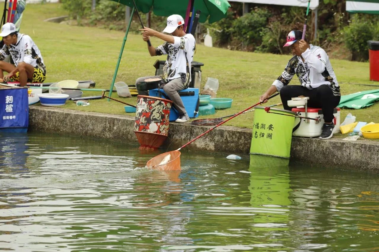 以漁會友，“怡寶杯”廣東省第31屆釣魚錦標賽圓滿落幕