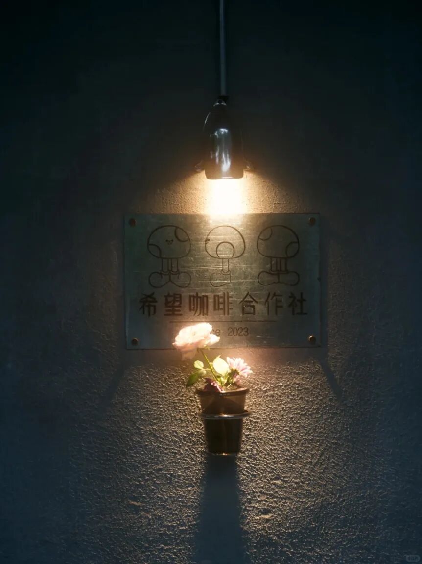 图源小红书@DDwei