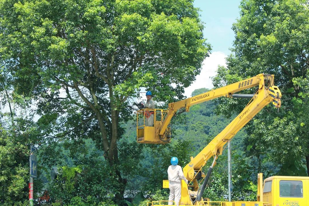 發(fā)電部搶發(fā)電量分解電量_售電量_峰電量谷電量什么意思