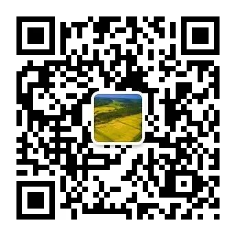 电针理疗是什么南安乡卫生院中医康复理疗门诊开诊啦！_https://www.jmylbn.com_新闻资讯_第11张