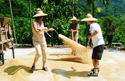 台灣住宿聯盟選文 / 短短十五年，台灣休閒旅遊是如何崛起的？附五大特點、六大特色案例！ 旅行 第15張