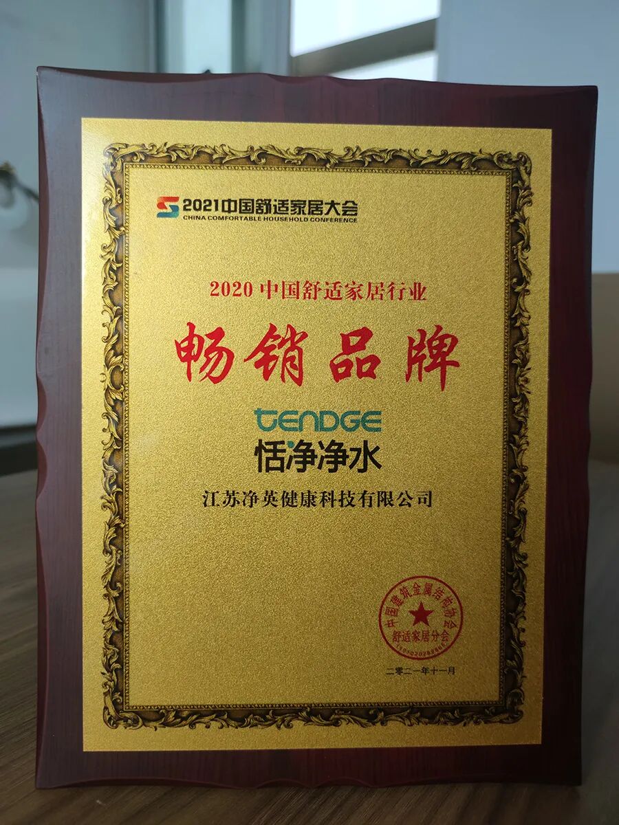 2021年中国舒适家居大会-突出贡献企业.jpg