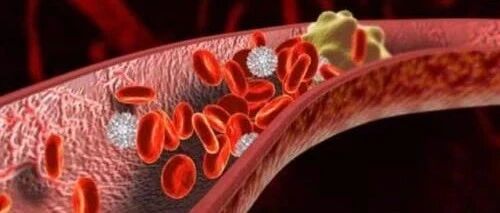 12张动图带你领略血栓形成与转归全过程