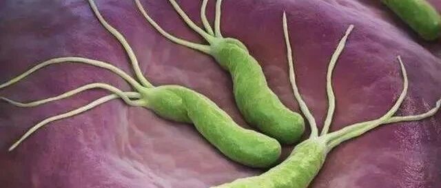 不爱用公筷的中国人，8亿都感染了幽门螺杆菌！一文回答你所有疑问