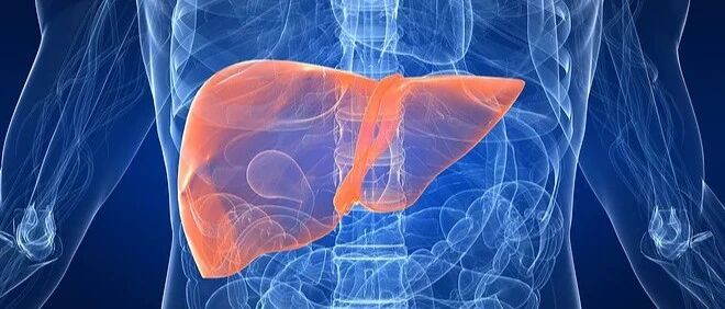 肝病都是拖出来的，一旦晨起有4个表现，是肝在“求救”，别忽视了!