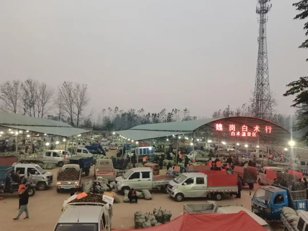 魏岗白术交易市场温货走动较快
