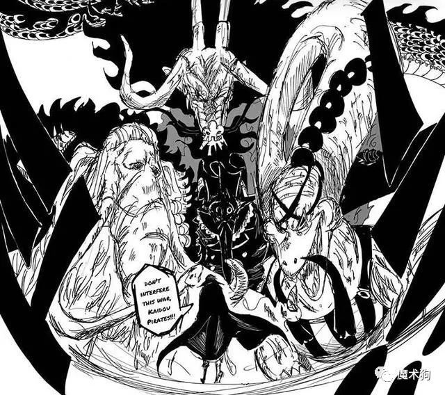 詳解海賊王動物系兩大分支集團 戰鬥力媲美自然系 魔術狗 微文庫