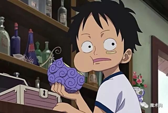 海賊王深度 動物系惡魔果實觀賞性太低 是和之國篇最大缺陷 魔術狗 微文庫