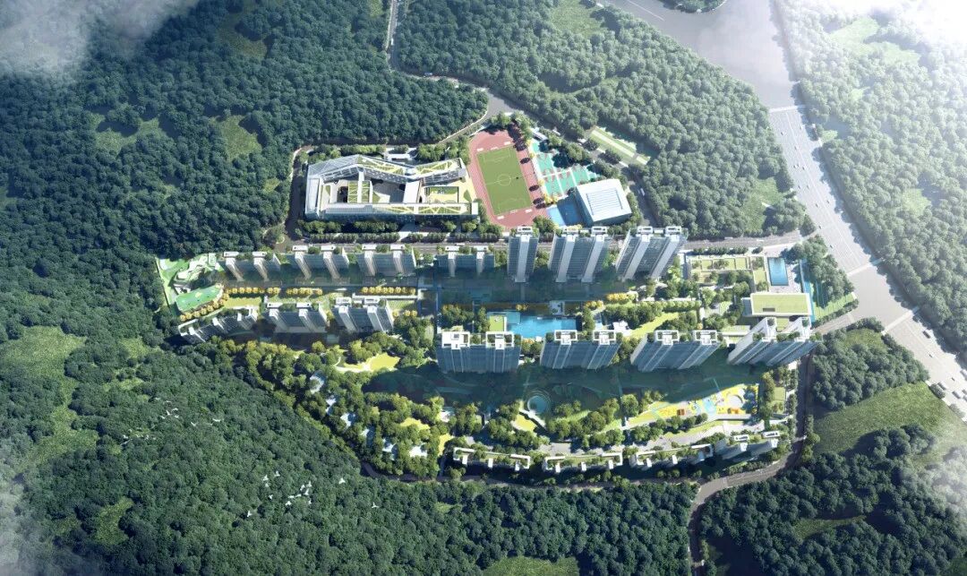 广州改善盘看越秀·瑞麓府？九年制广东番禺中学实验学校