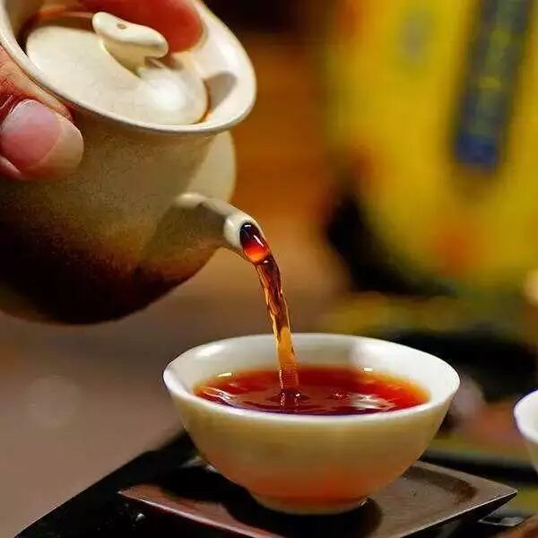 不喝黑茶的人，看完后都爱上了黑茶！