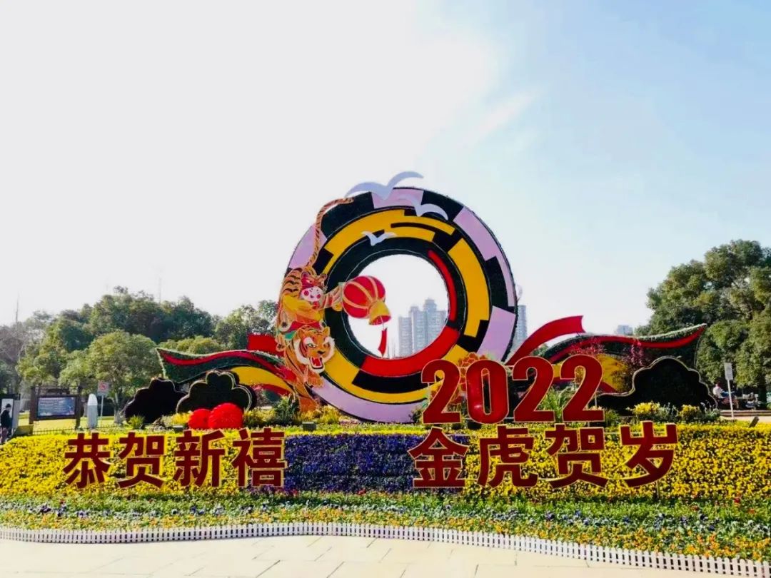 宁波街头,“虎”起来了!