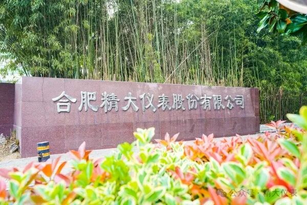 合肥精大仪表领航安全，SIL3认证铸就信赖