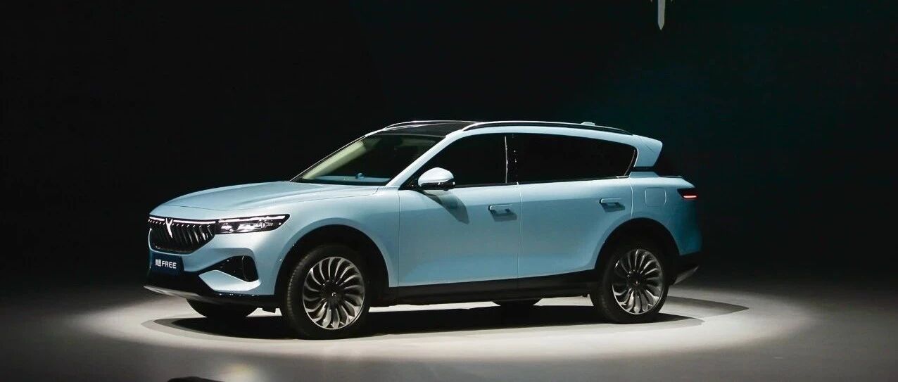 岚图，它不演了