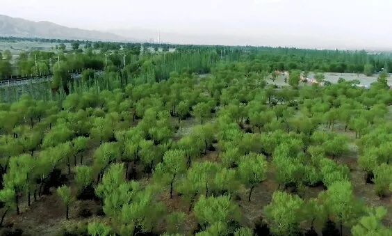 大学生创新创业项目最多几人_江苏 创新创业项目 资讯平台_大学生创新创业项目有哪些