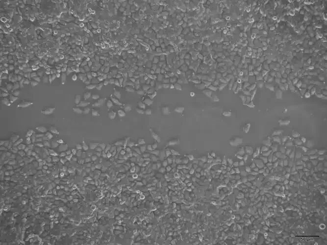 划痕宽度和深度