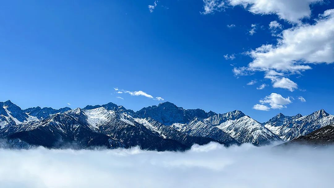 韩雪玩梗