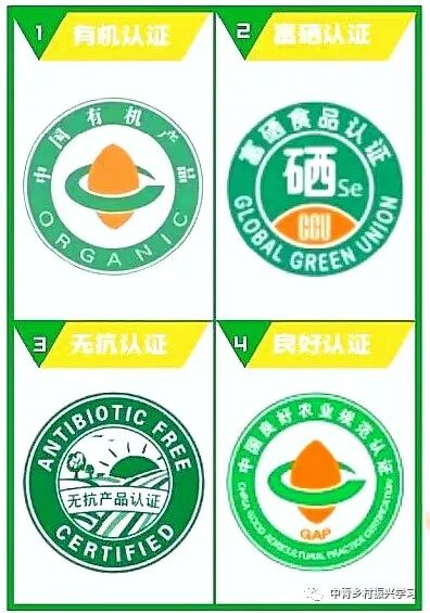 政府扶持的创业项目_政府补贴创业项目_政府支持创业项目