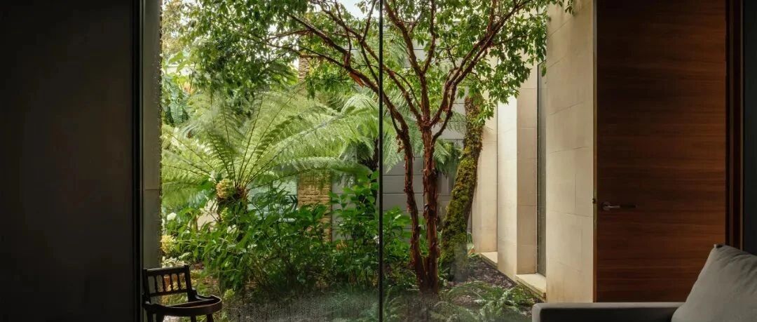 自然的力量·演绎静谧之境 / McLean Quinlan