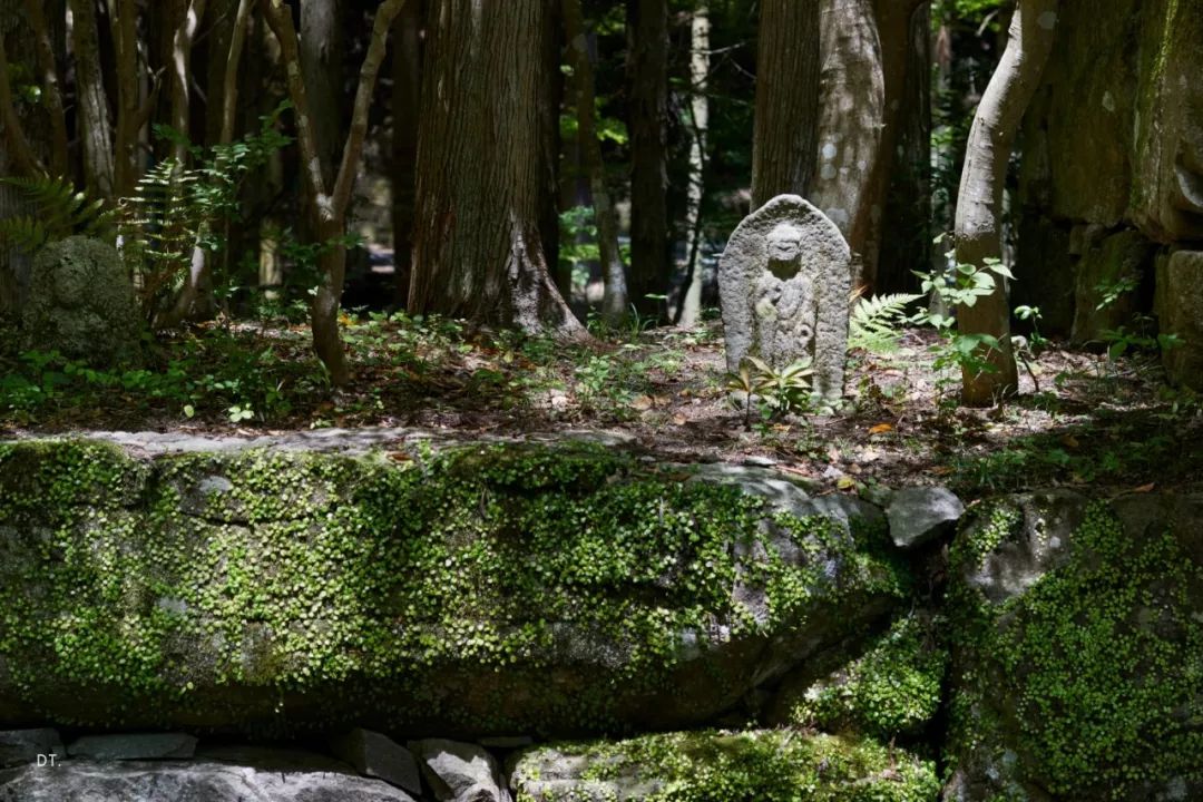 京都安縵，致敬傳統日式設計！一晚要8萬元｜Kerry Hill的遺作 家居 第28張