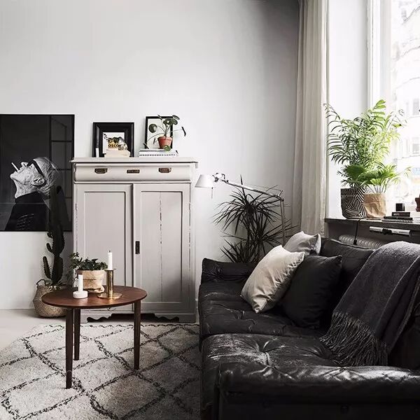 綠植滿屋，這樣的家居春來早！ 家居 第16張