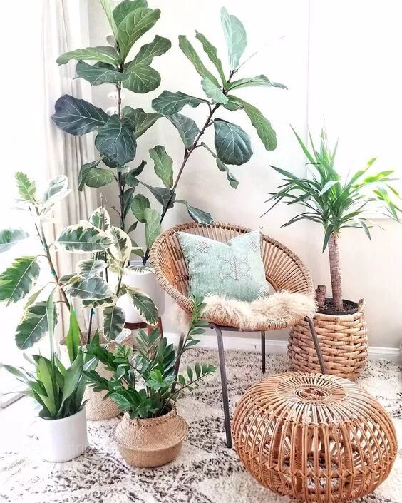 綠植滿屋，這樣的家居春來早！ 家居 第33張