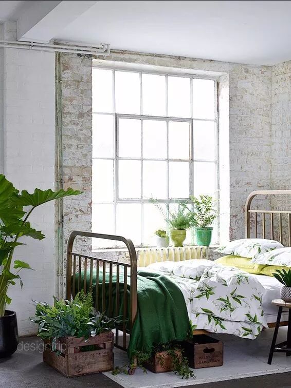 綠植滿屋，這樣的家居春來早！ 家居 第25張