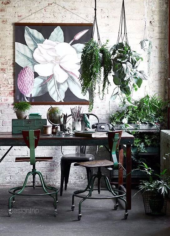 綠植滿屋，這樣的家居春來早！ 家居 第41張