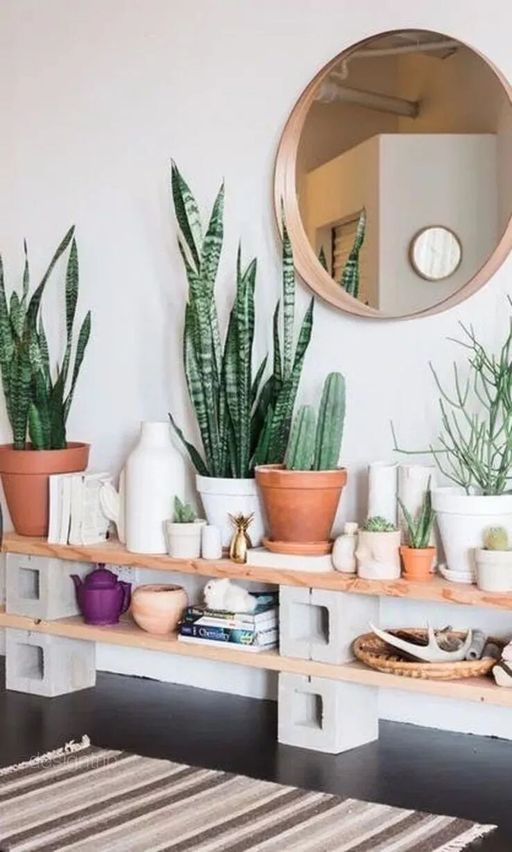 綠植滿屋，這樣的家居春來早！ 家居 第34張