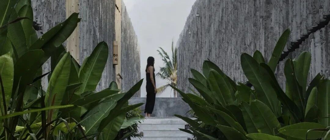 人与自然的和谐 / Nic Brunsdon