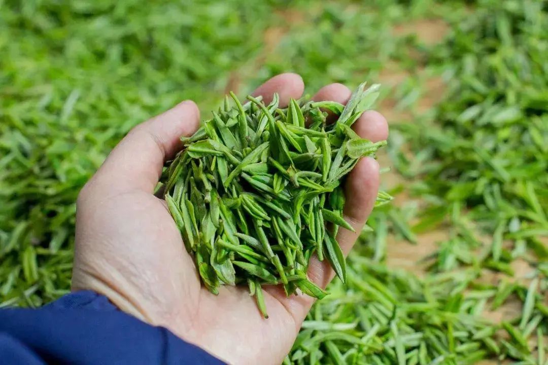 圖片關鍵詞