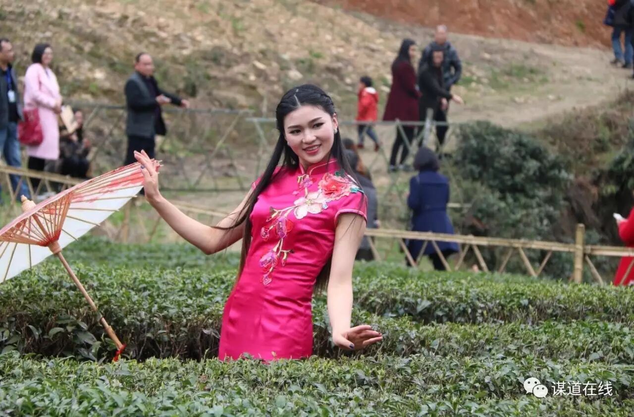 利川今天上演了一场无与伦比的美女视觉饕餮盛宴