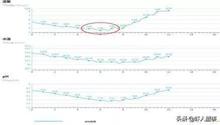 致富经小龙虾养殖视频播放_致富经小龙虾_龙虾致富经